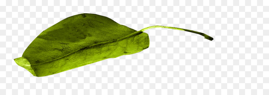 Légume，Feuille PNG