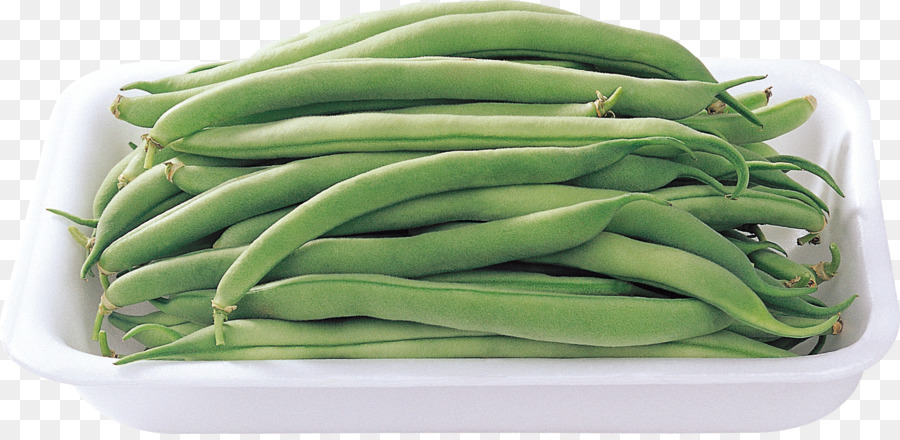 Haricots Verts，Frais PNG