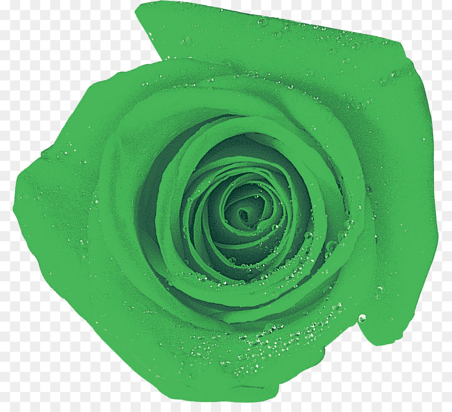 Rose Verte，Rose PNG