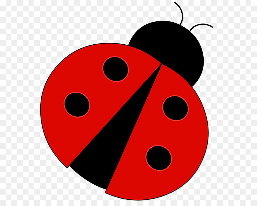 Coccinelle，Rouge PNG