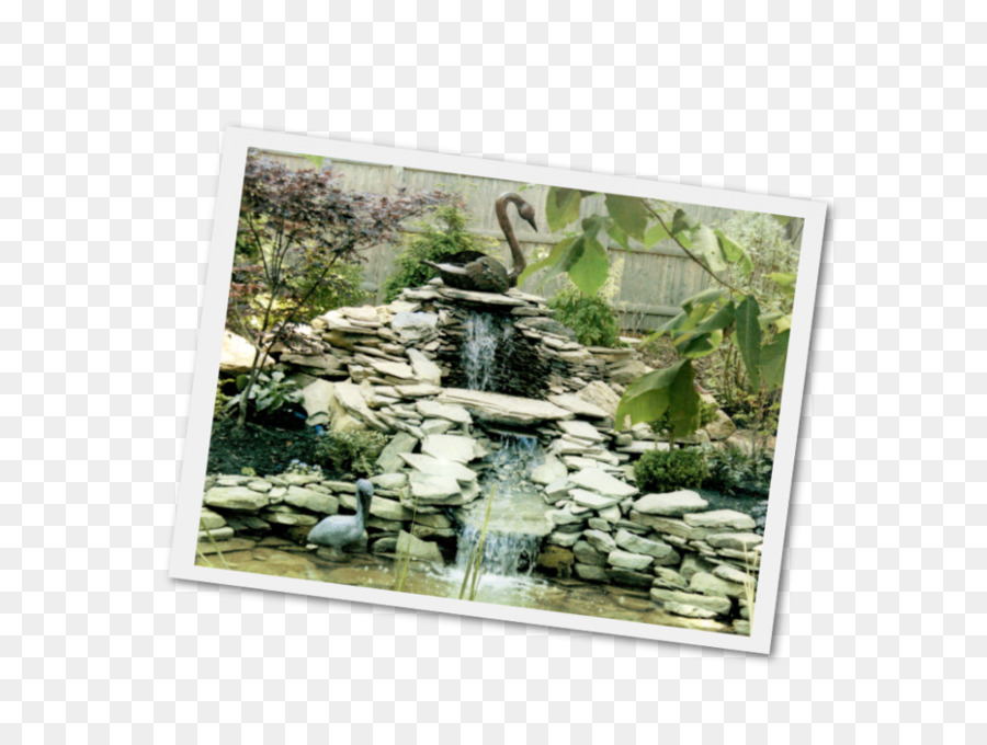 Brookside Jardins，Jardin PNG