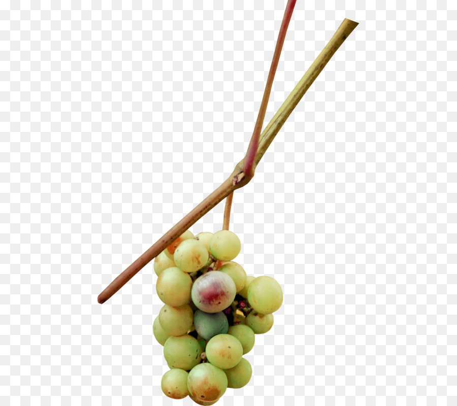 Raisin，Fruits PNG