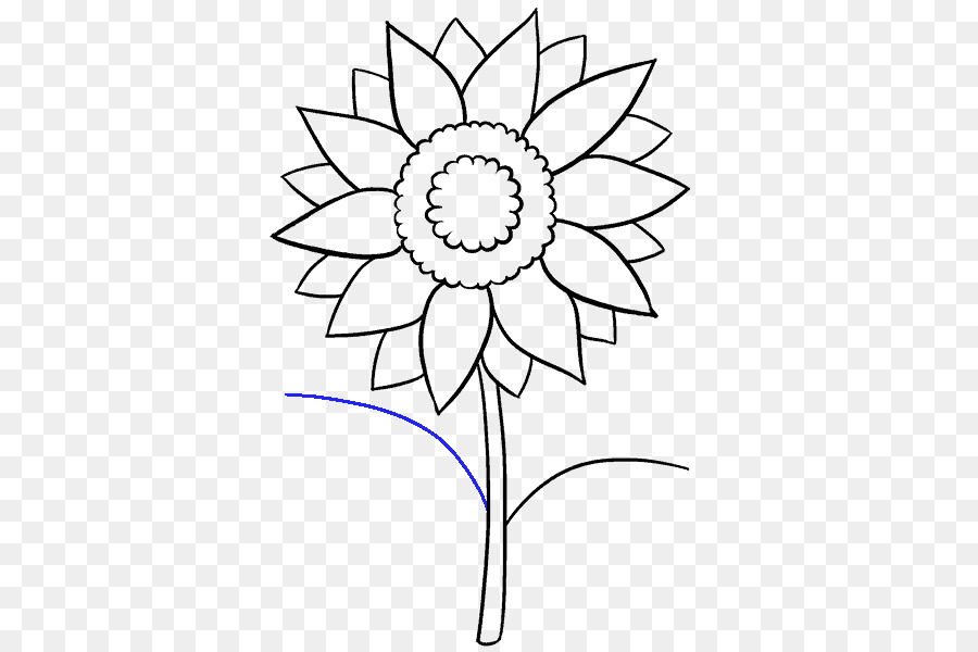 Dessin，Commune De Tournesol PNG