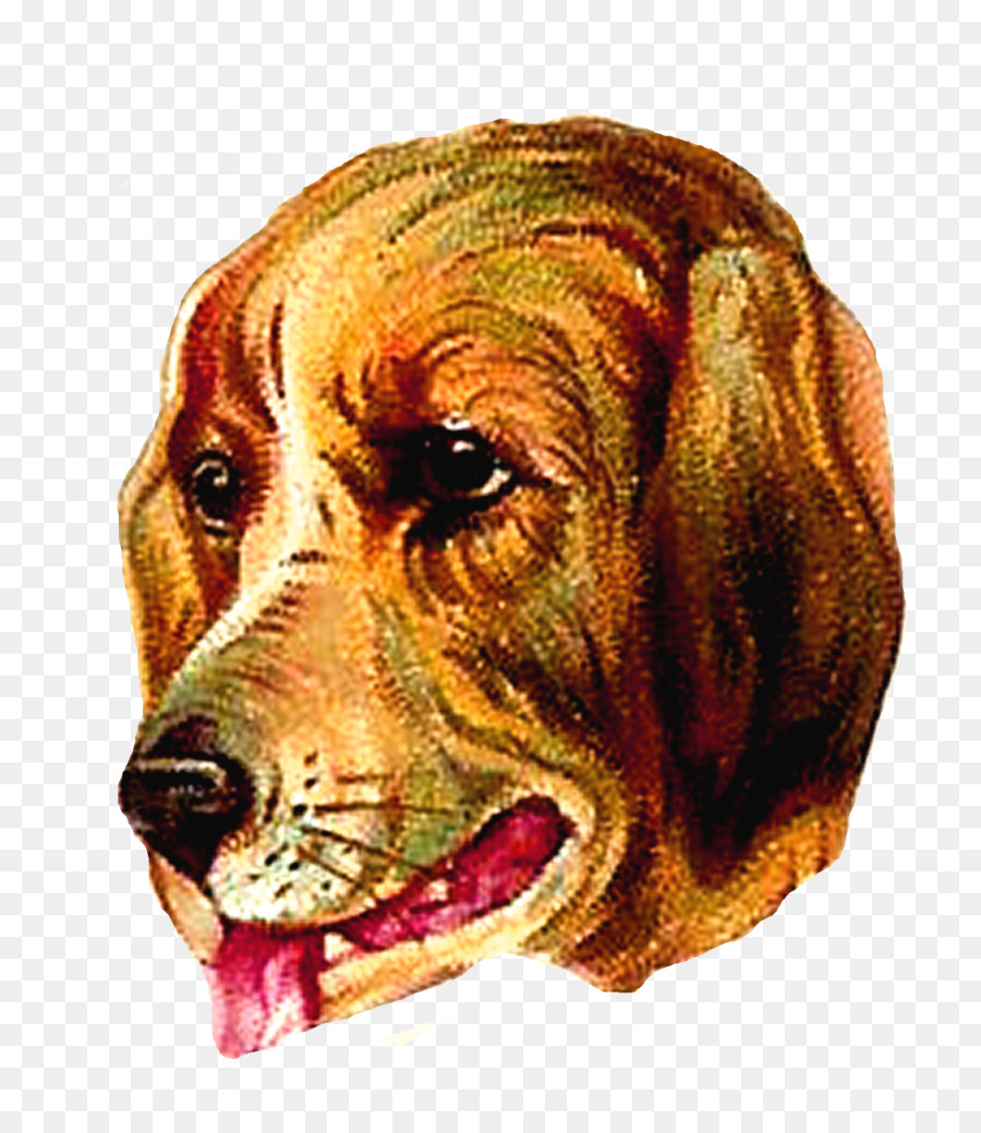 Chien，Animal De Compagnie PNG