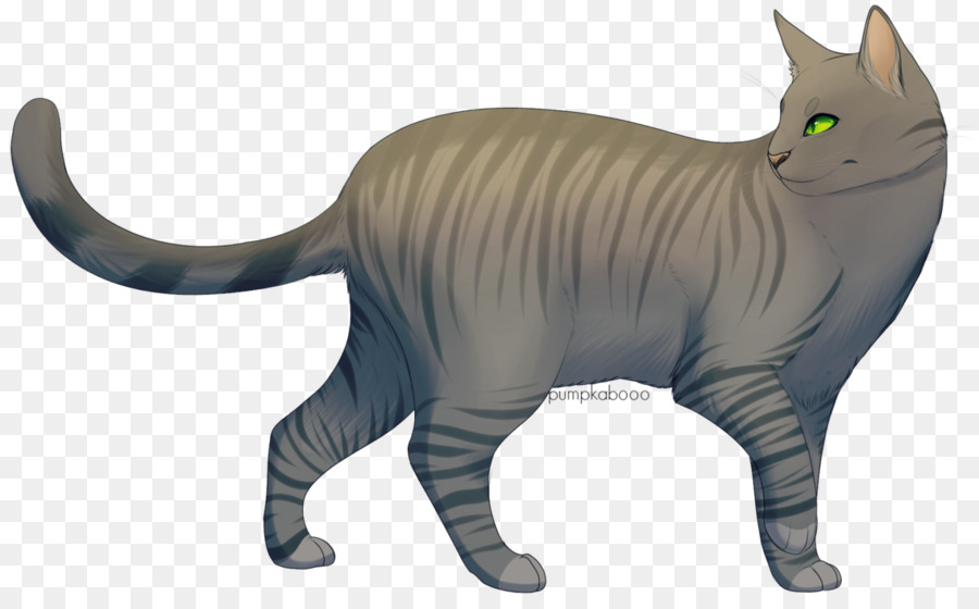 Chat，Animal De Compagnie PNG