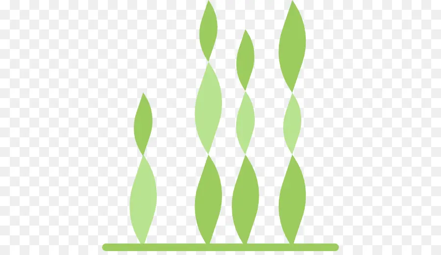 Herbe，Usine PNG