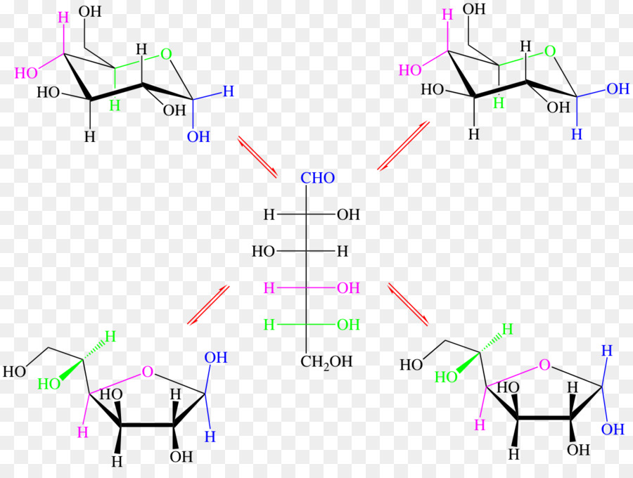 Le Glucose，Amylase PNG