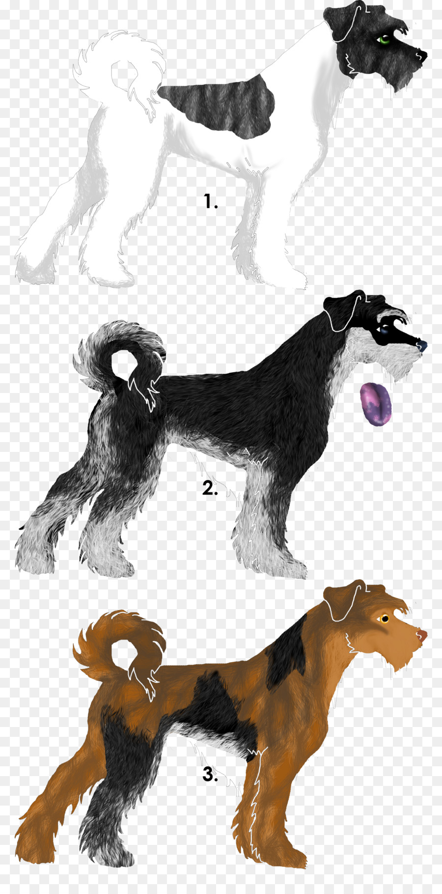 Trois Illustrations De Chiens，Canin PNG