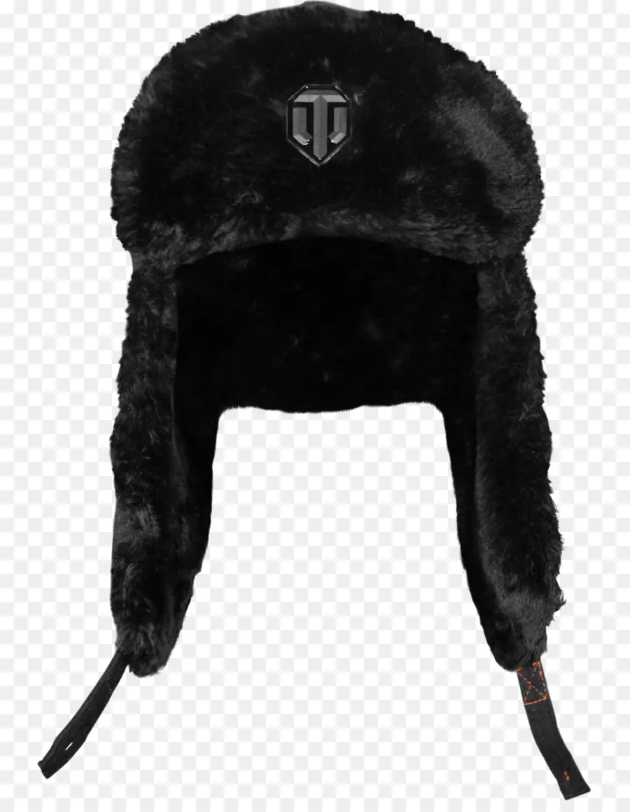 Chapeau De Fourrure Noir，Hiver PNG