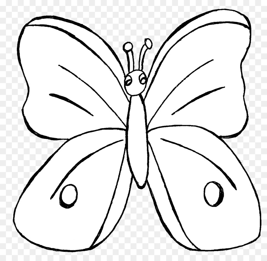 Papillon，Ailes PNG