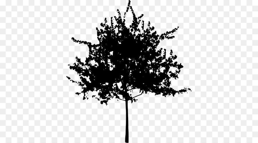 Arbre，Silhouette PNG