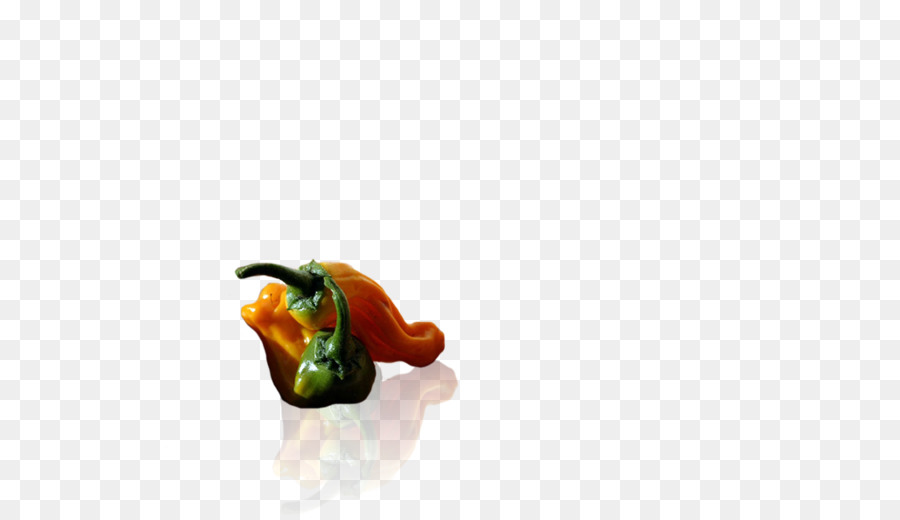 Piment，Capsicum Annuum PNG