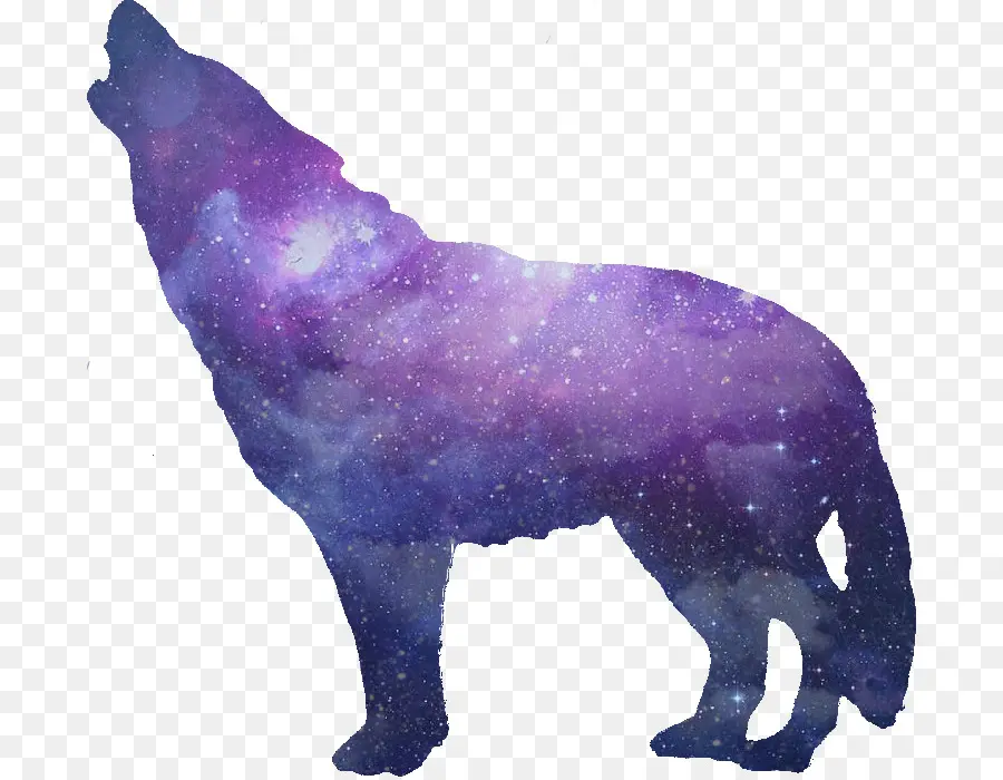 Loup，Hurlement PNG