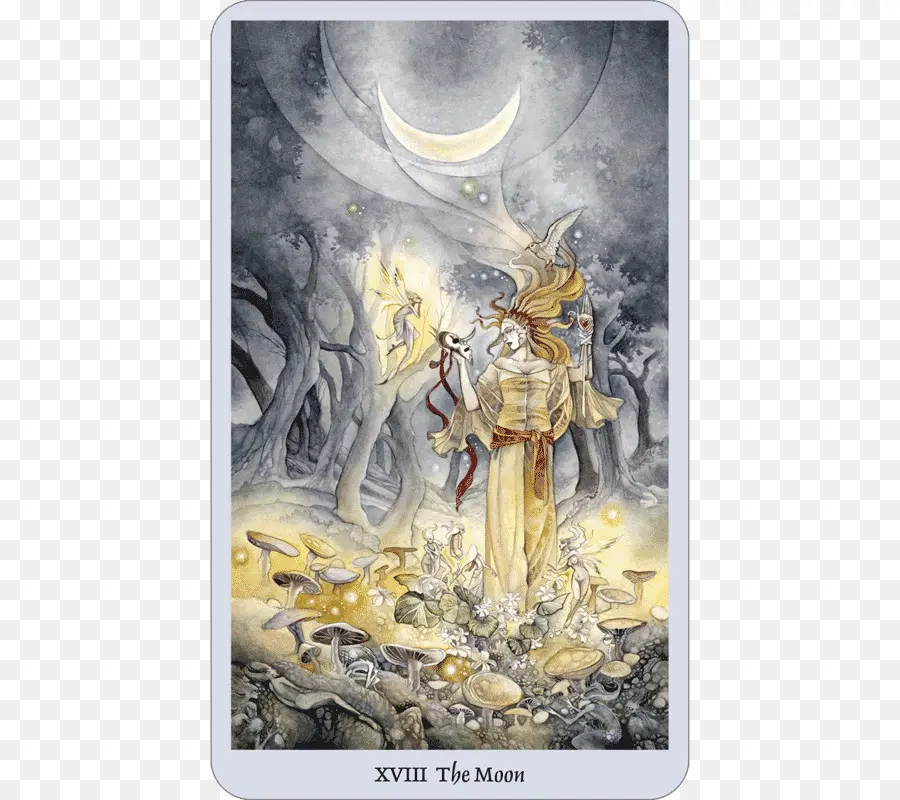 Shadowscapes Tarot，Tarot PNG