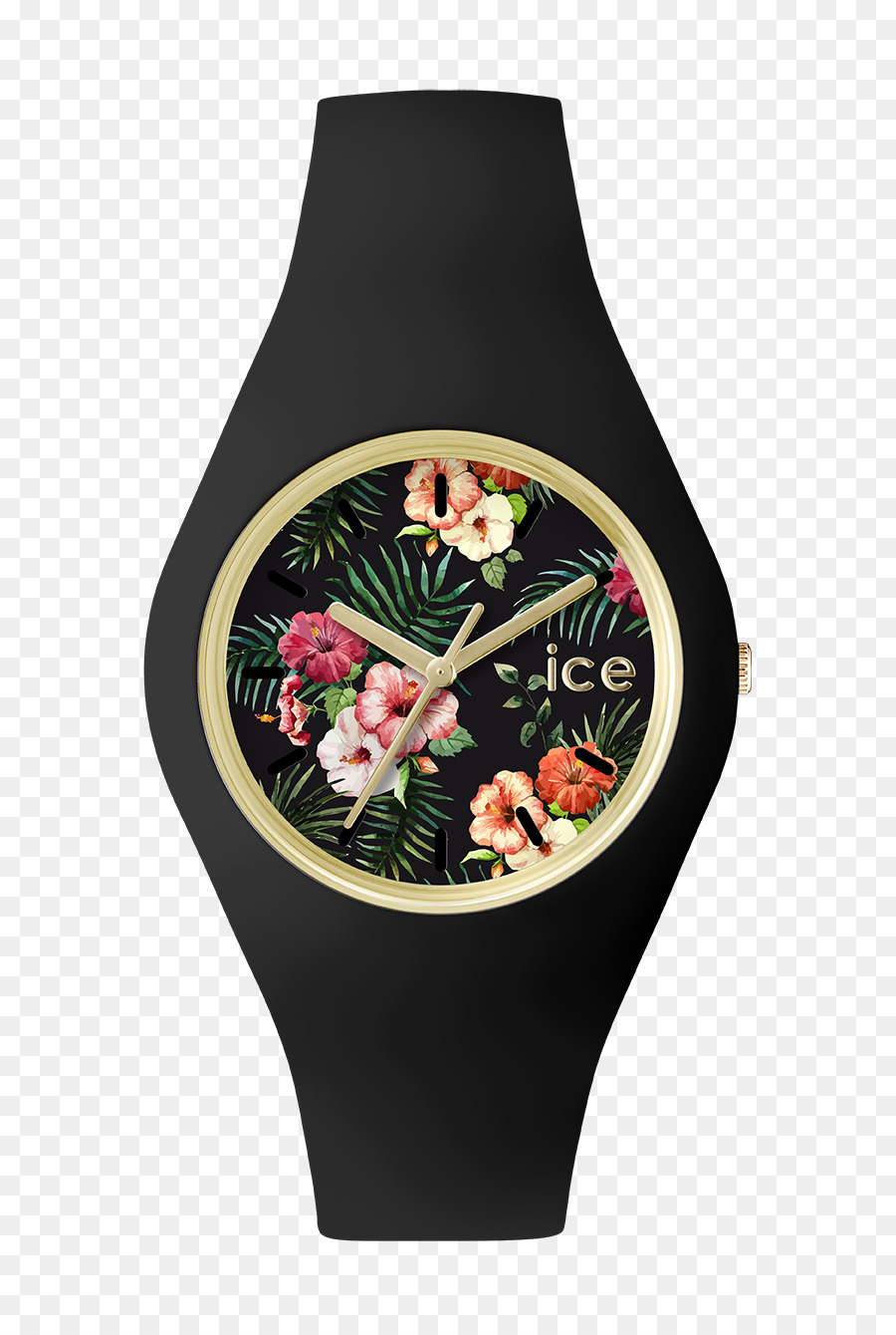 Ice Watch，Regarder PNG