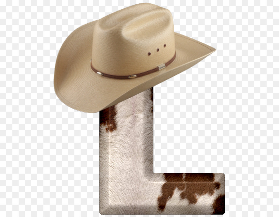 Chapeau De Cow Boy，Cowboy PNG