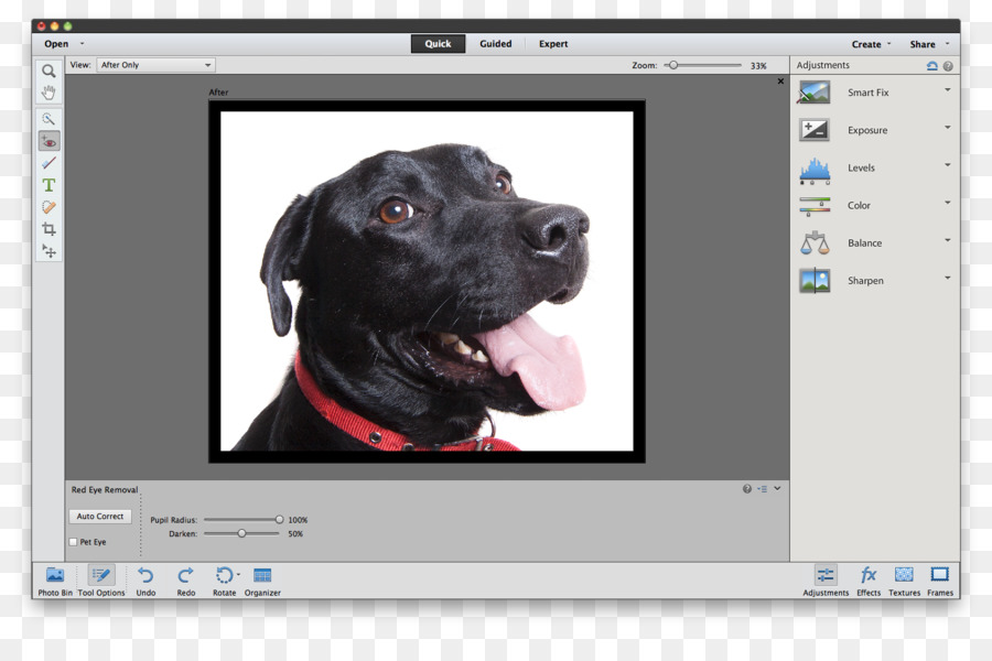 Adobe Photoshop Elements，Tutoriel PNG