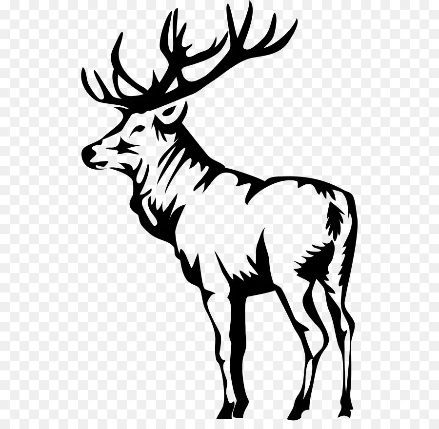 Wapiti，Bois PNG