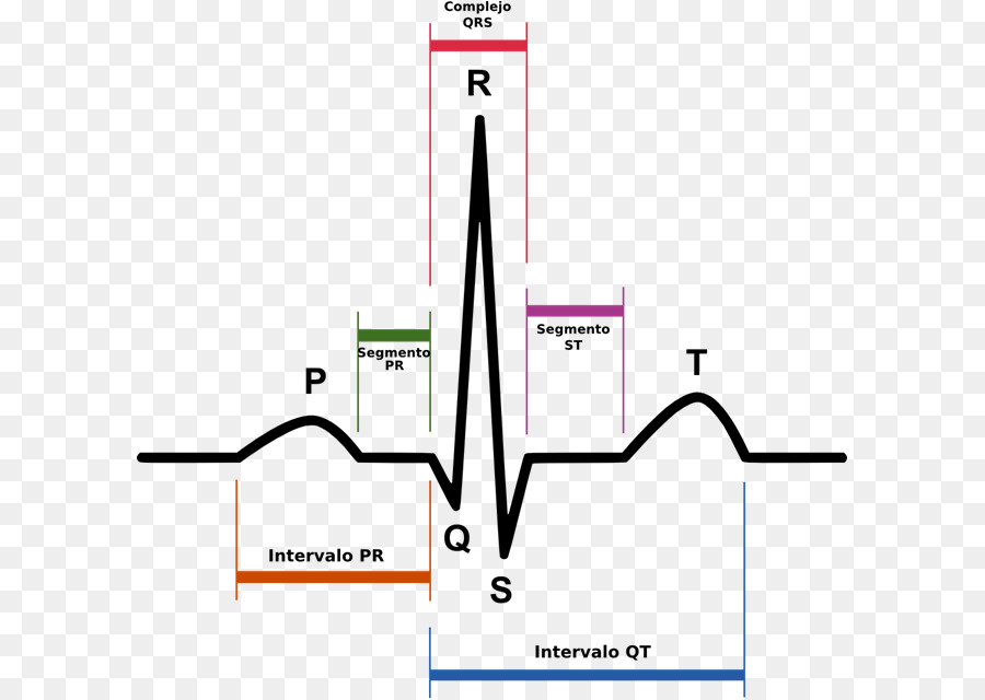 Ecg，Cœur PNG