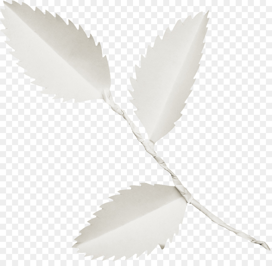 Feuille De Papier，Décoration PNG