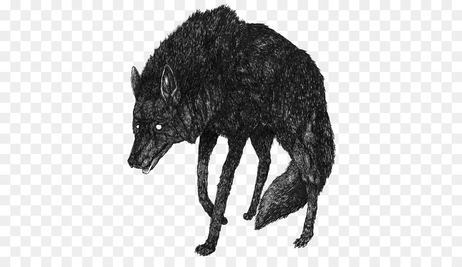 Loup Gris，Dessin PNG