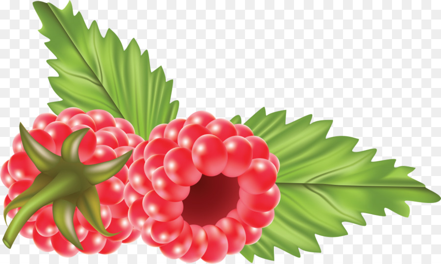 Fraise，Framboise PNG