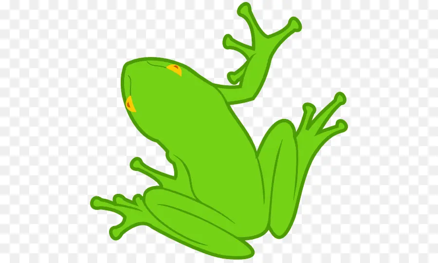 Grenouille，Amphibie PNG