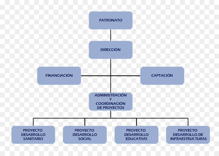 Organigramme，Organisation PNG