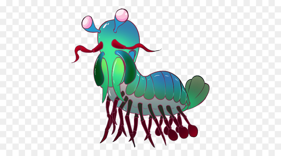 Insecte Coloré，Insecte PNG