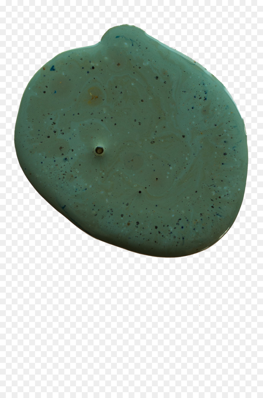 Organisme，Turquoise PNG
