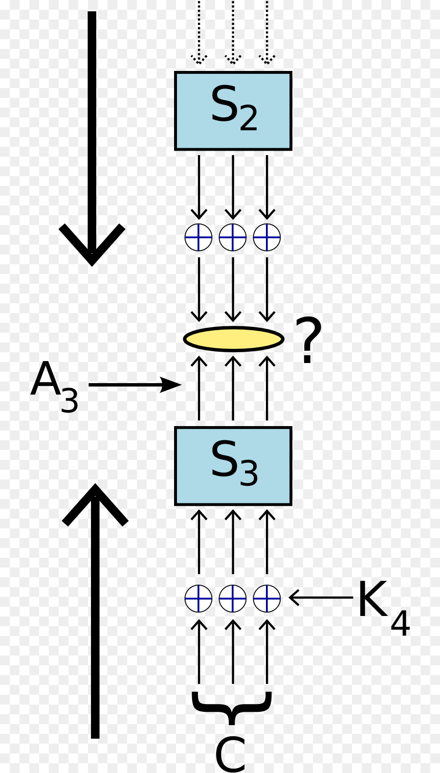 Organigramme，Processus PNG