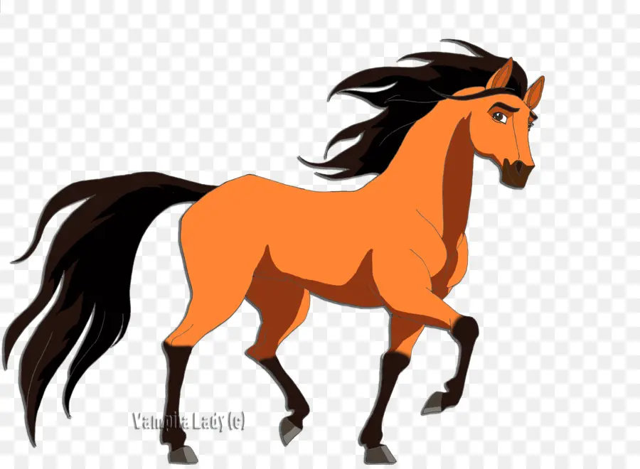 Mustang，Poney PNG