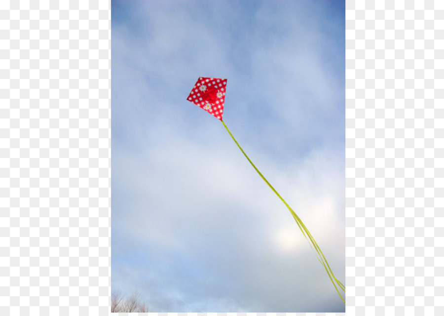 La Floraison De La Plante，Tige De La Plante PNG