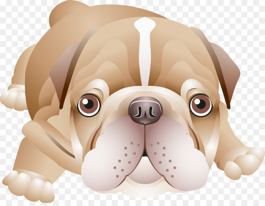 Bouledogue，Chien PNG