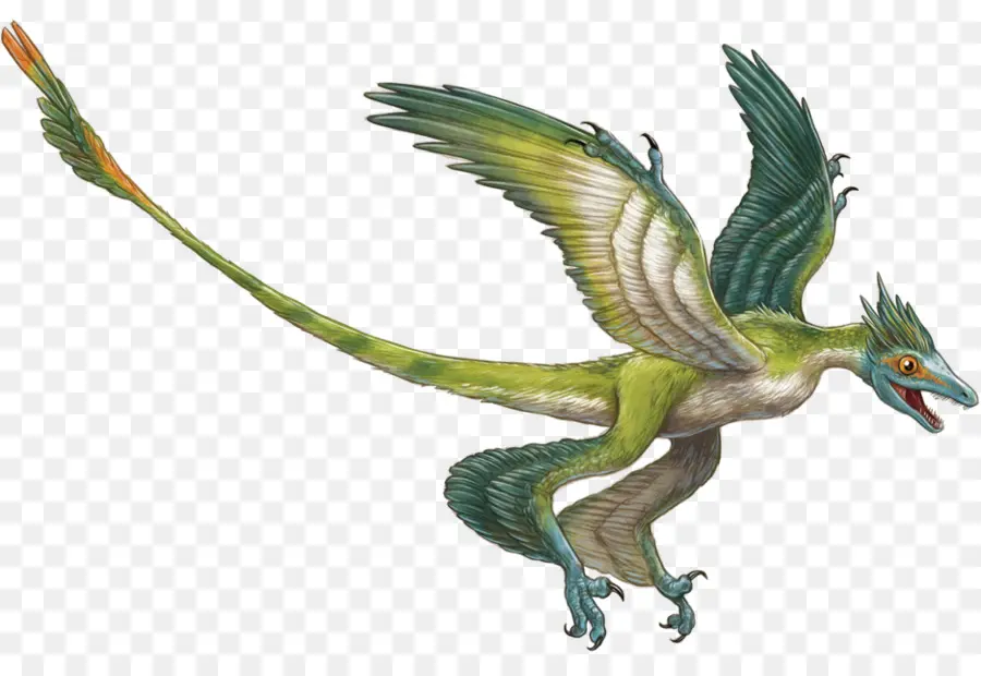 Dinosaure Volant，Vol PNG