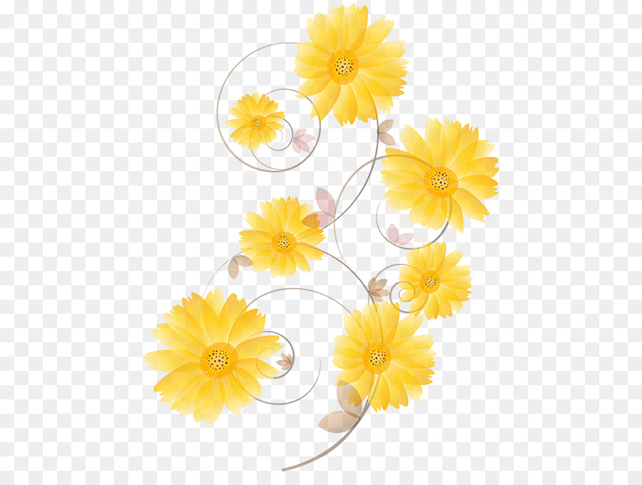 Fleurs，Marguerites PNG