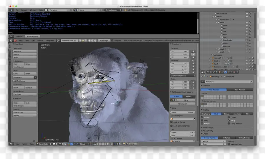 Modèle De Singe 3d，Animation PNG