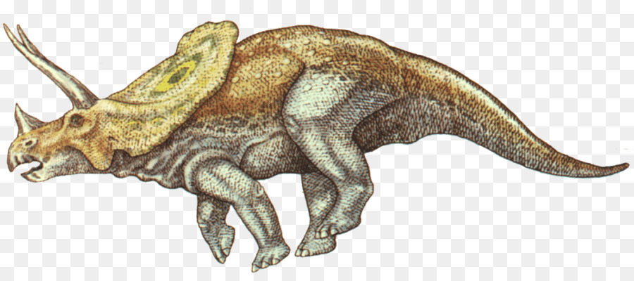 Le Tyrannosaure，Torosaurus PNG