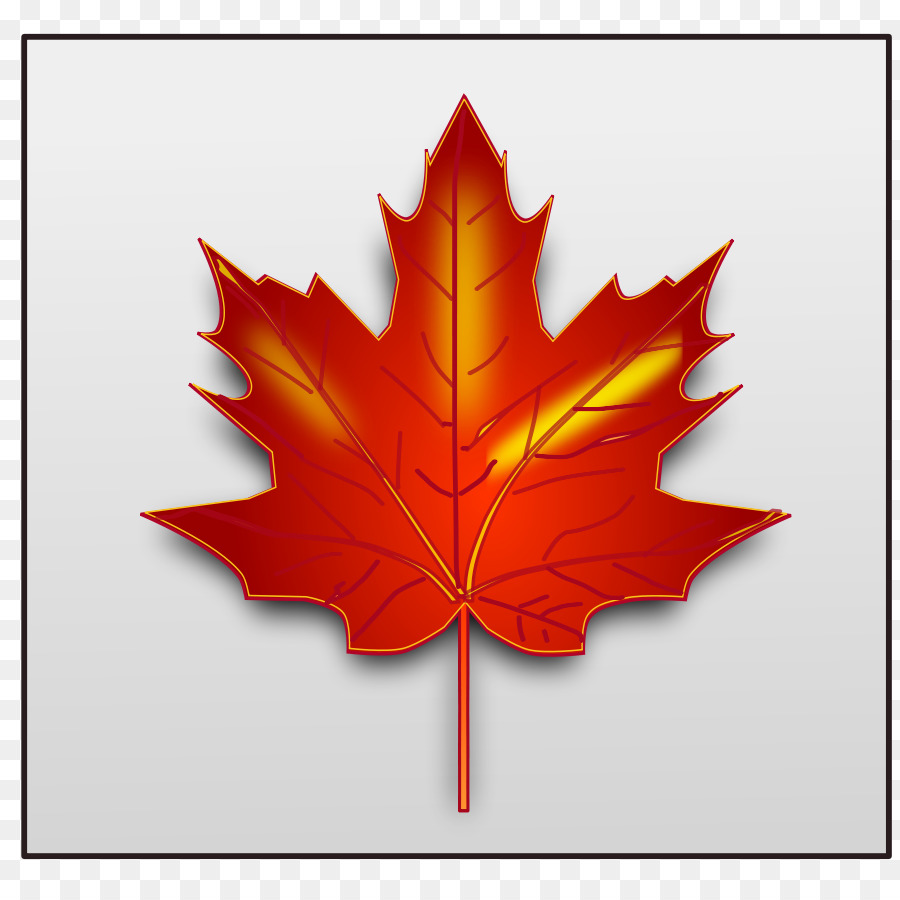 Feuille D'érable Rouge，Automne PNG