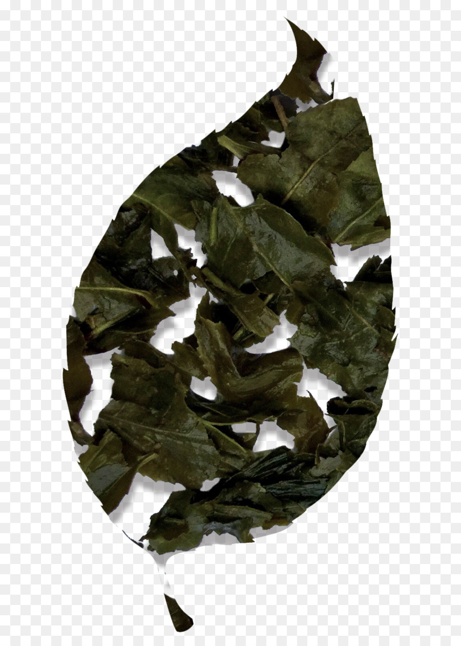 Feuilles De Thé，Vert PNG