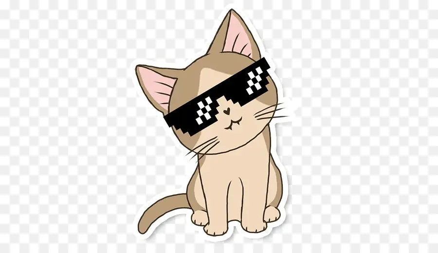 Chat Cool，Lunettes De Soleil PNG