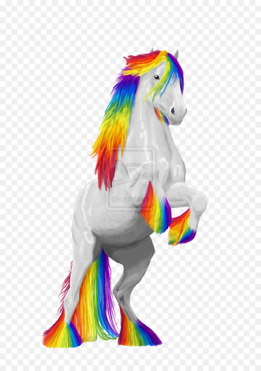 Cheval Arc En Ciel，Coloré PNG