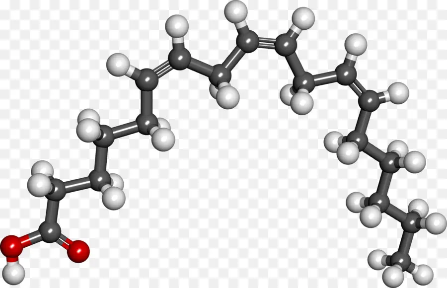 Molécule，Atomes PNG