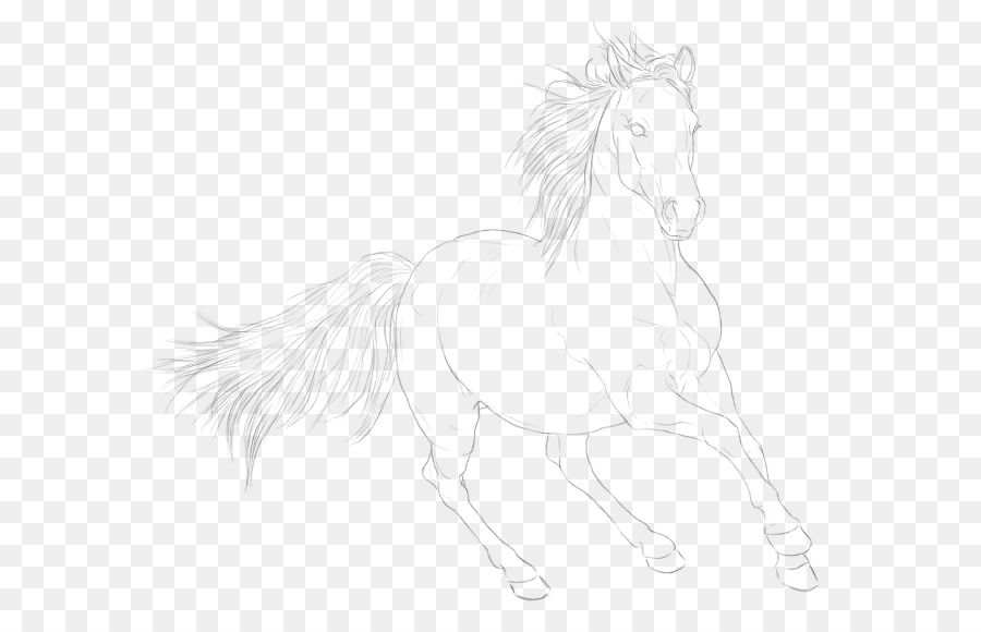 Cheval，Dessin Au Trait PNG