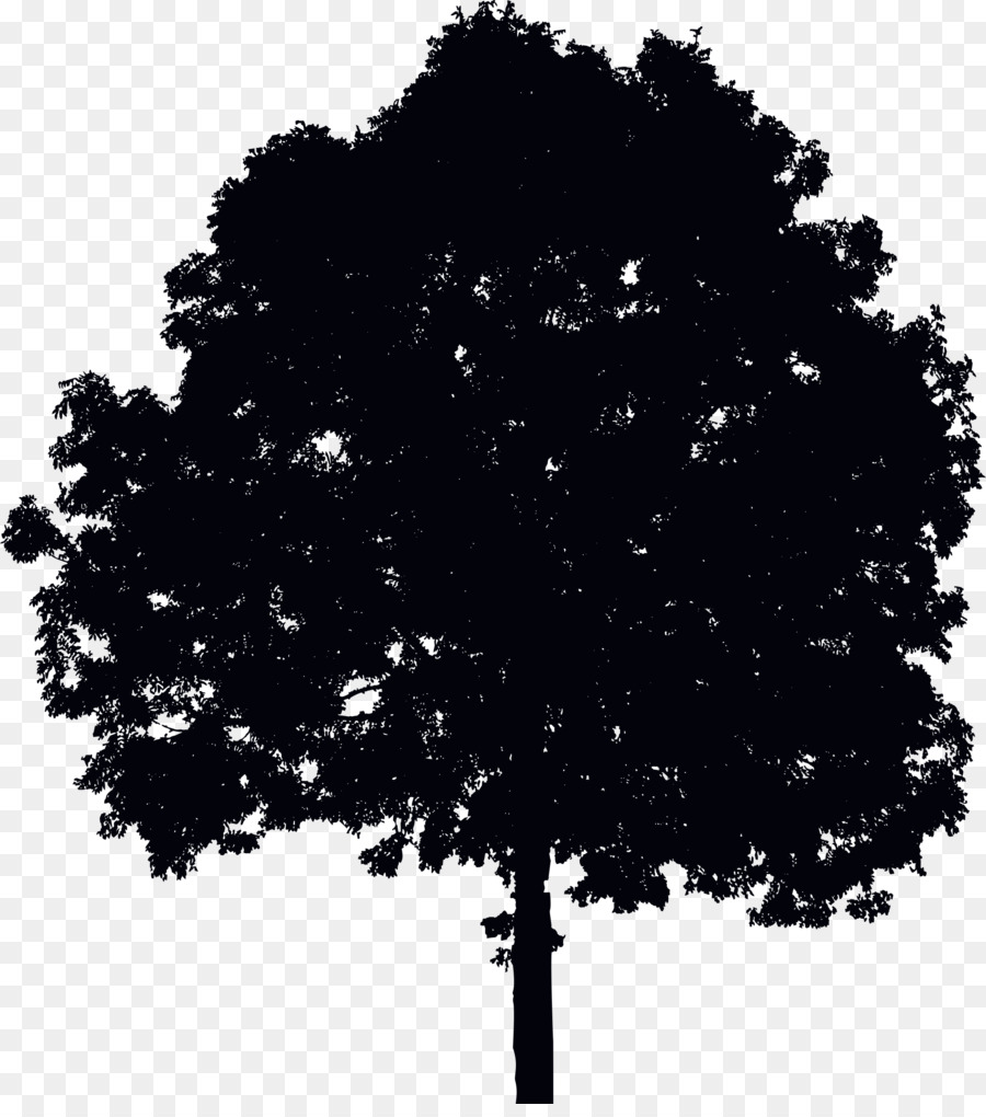 Arbre，Silhouette PNG