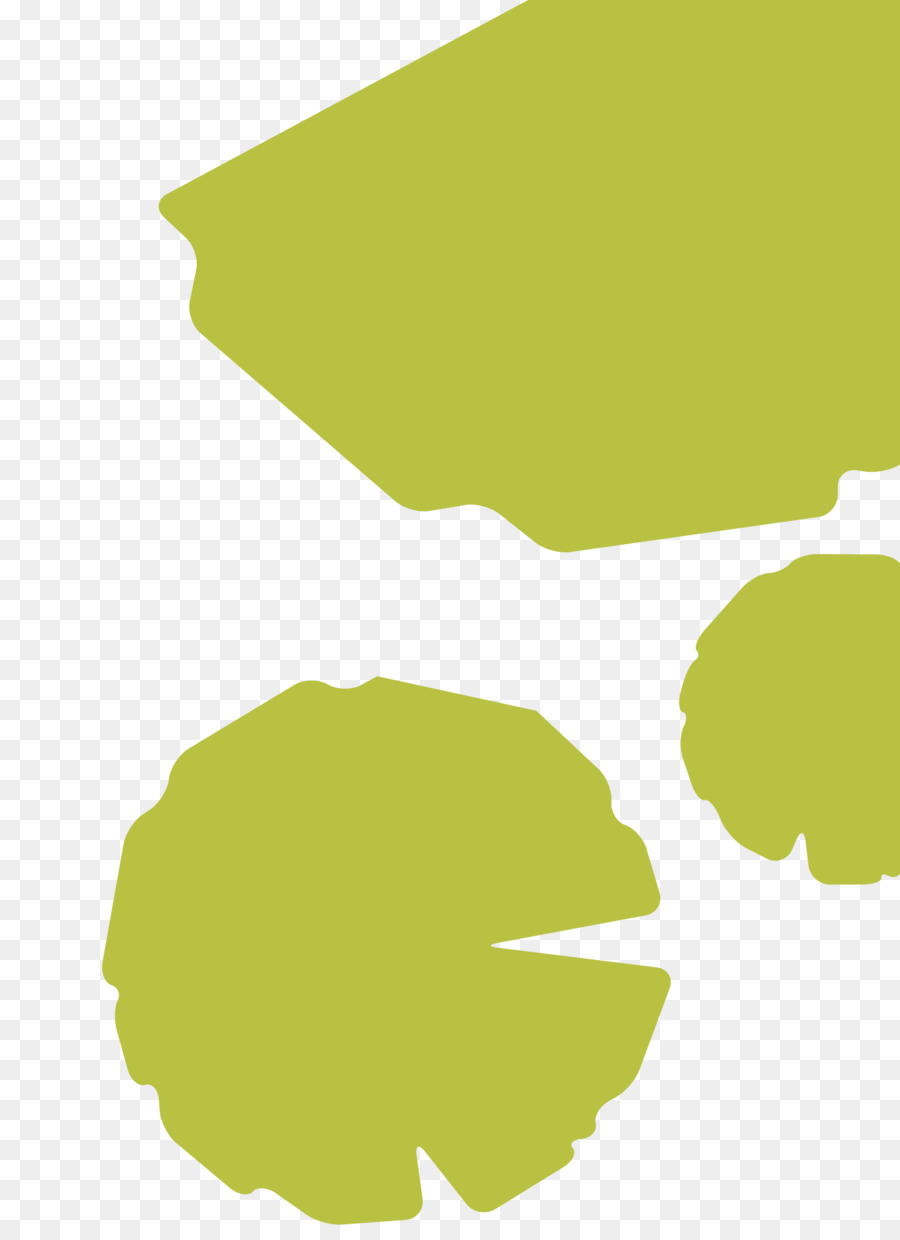 Feuille，Vert PNG