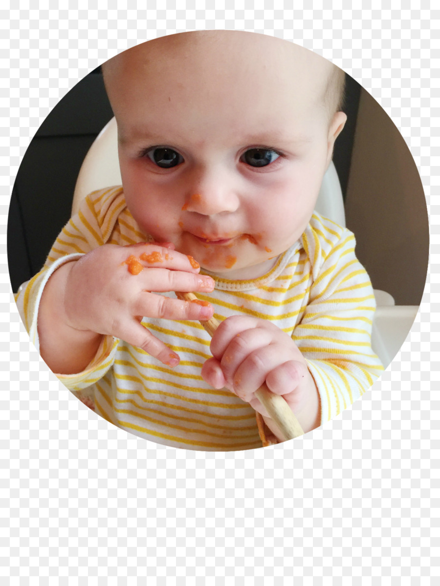 Bébé，Babyled Sevrage PNG