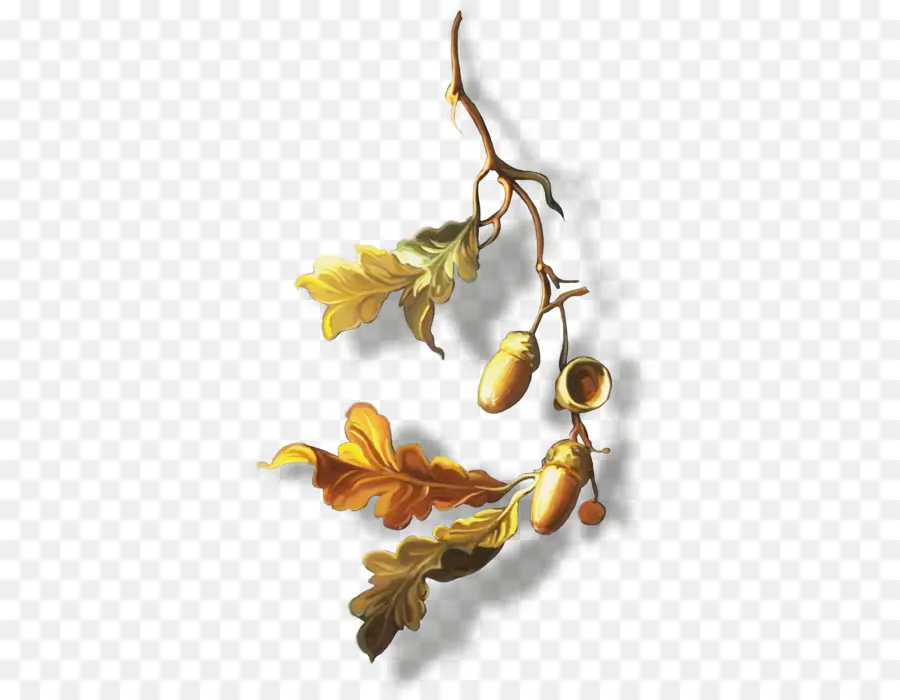 Glands Et Feuilles，Bifurquer PNG