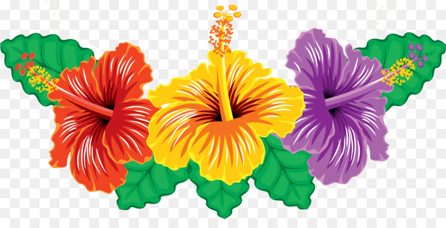 Fleurs D'hibiscus，Rouge PNG