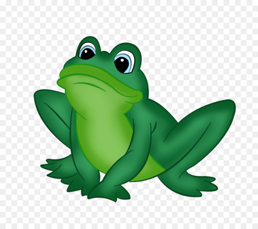 Grenouille Verte，Amphibie PNG